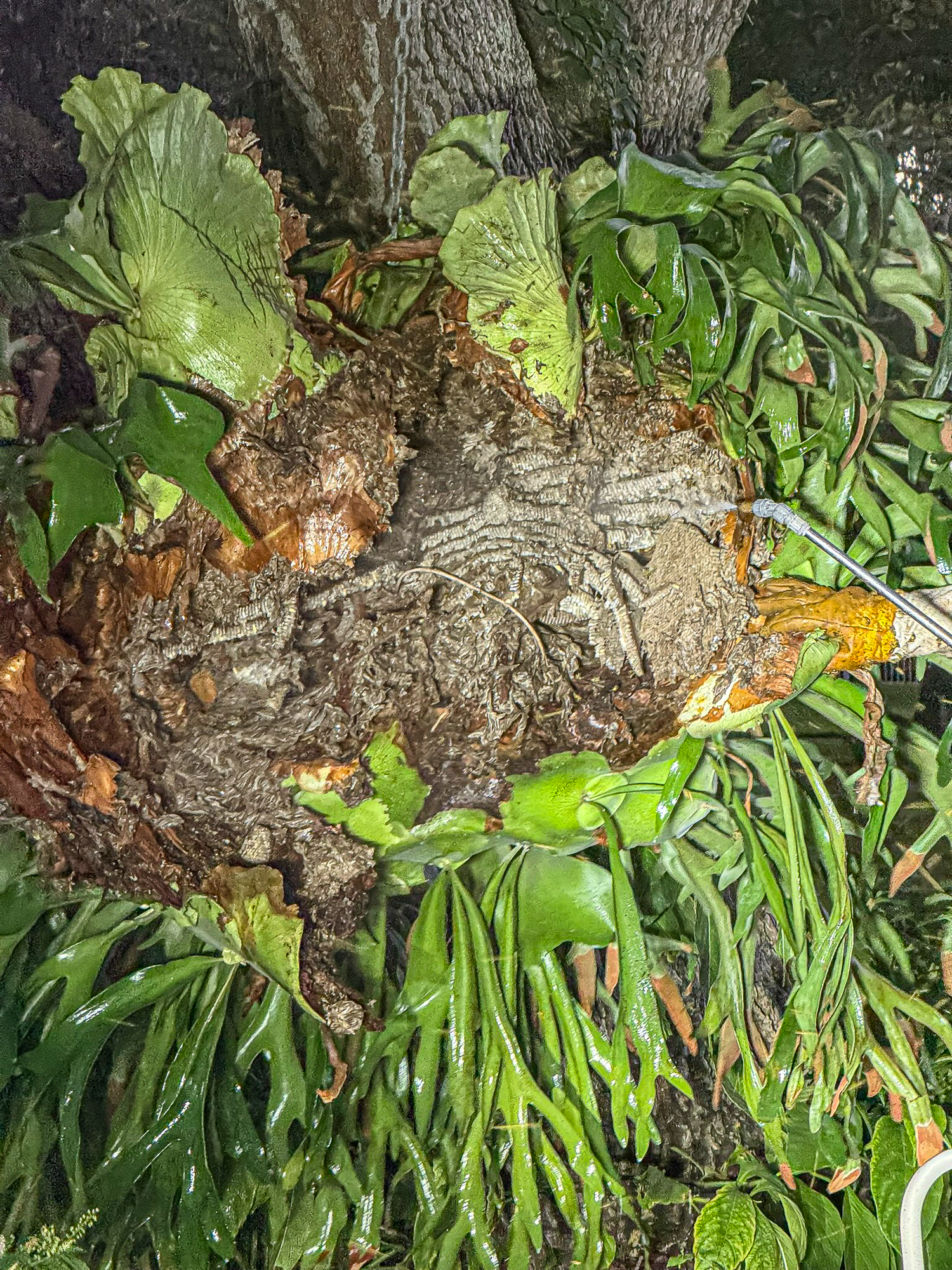 Patsy Reece U.'s post 3