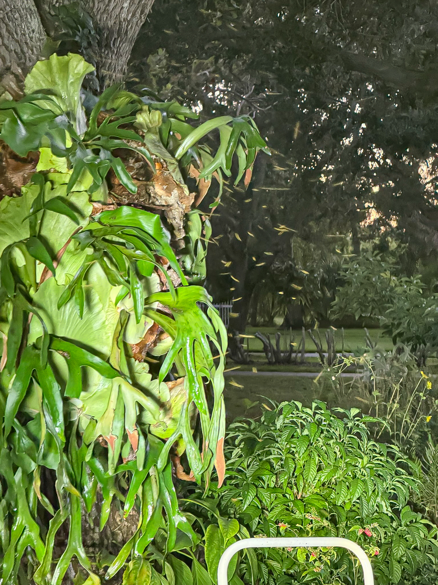 Patsy Reece U.'s post 1