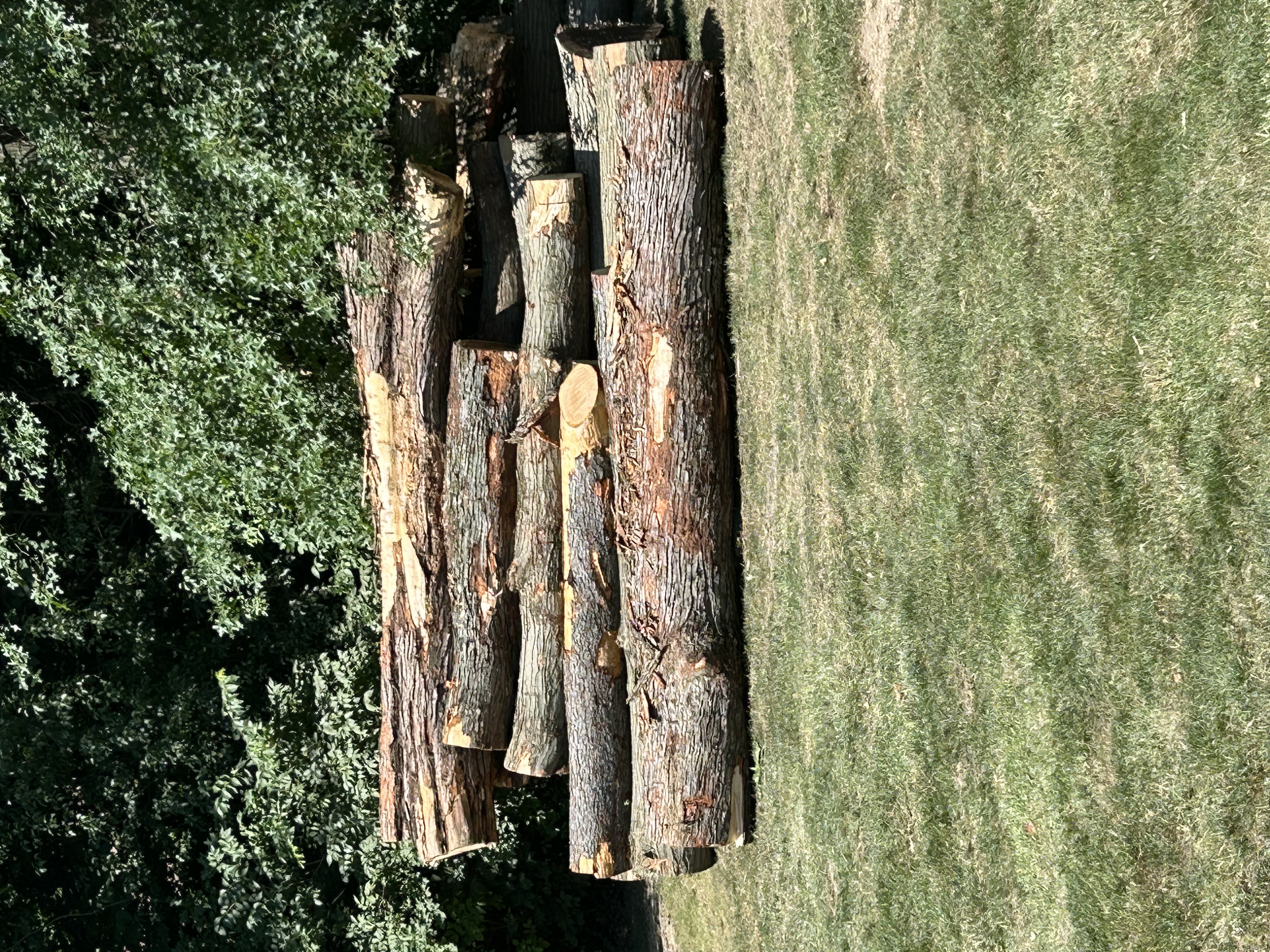Randy S.'s post 2