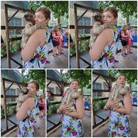 Jami Mattingley's profile image