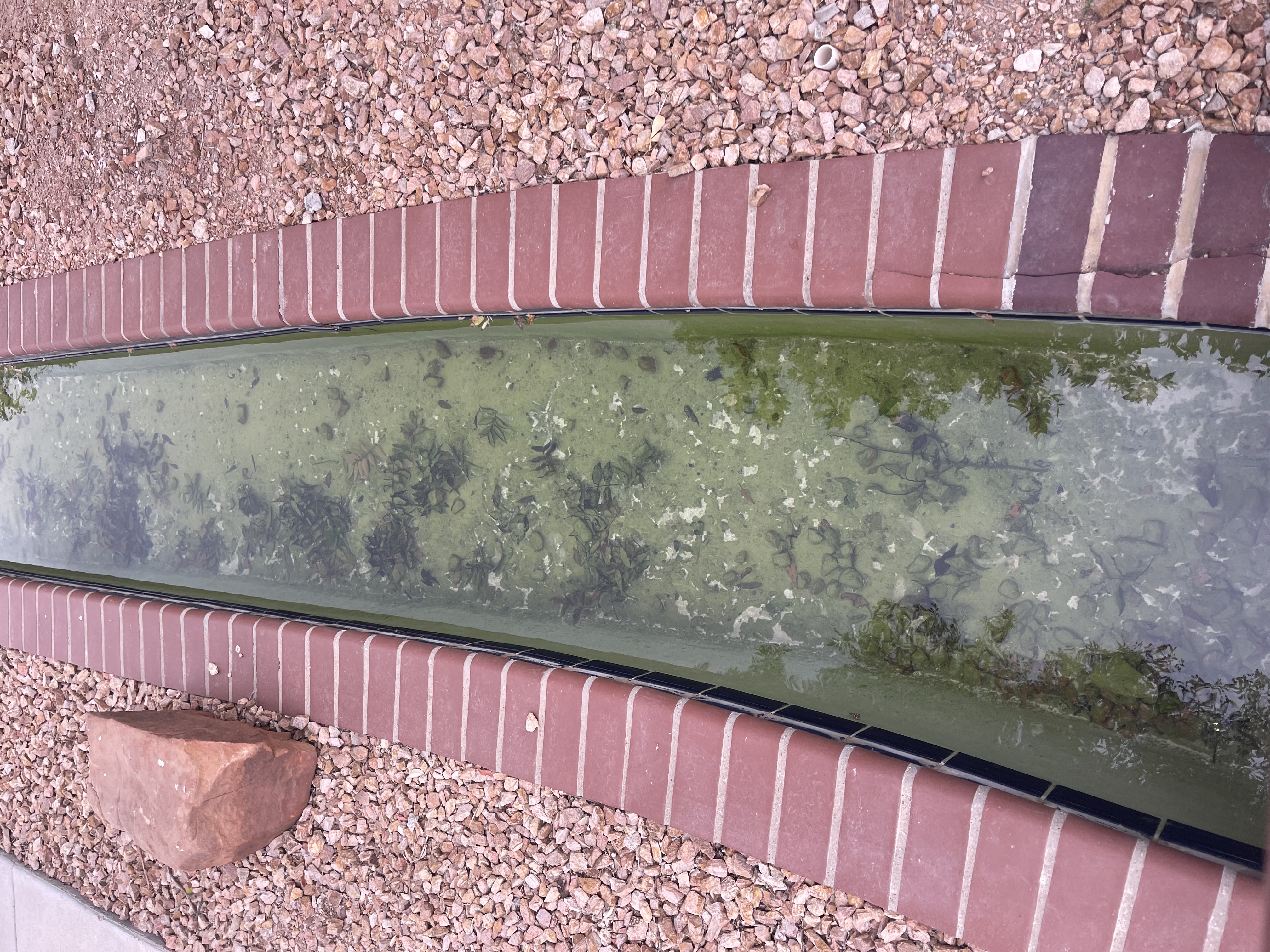 O’Quinn F.'s post 2