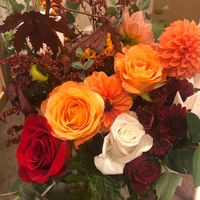 Adrienne Michalove's profile image