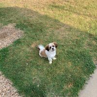 Beverly Smith's profile image