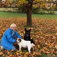 Mary M Chema's profile image
