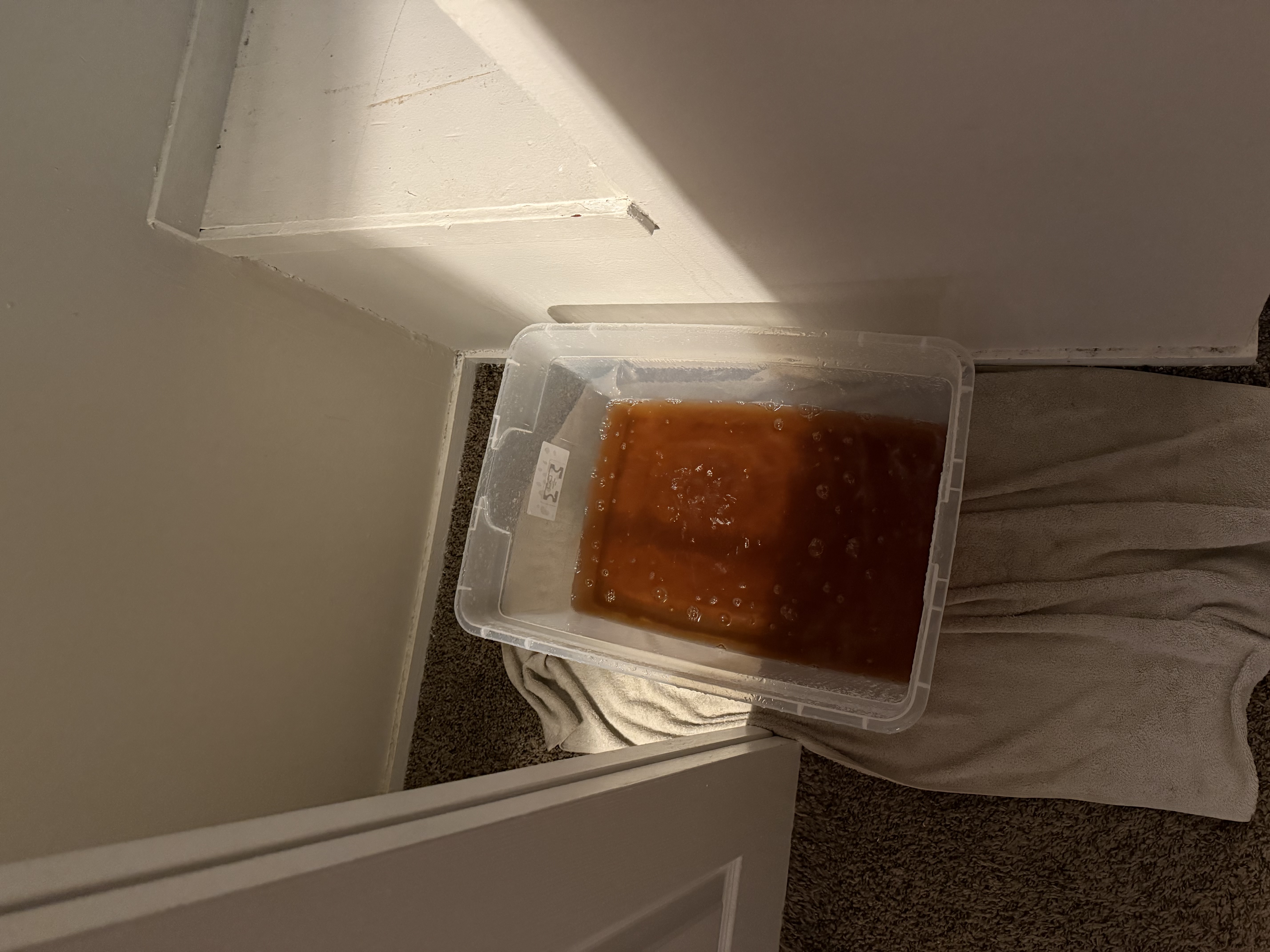 Aaron H.'s post 1