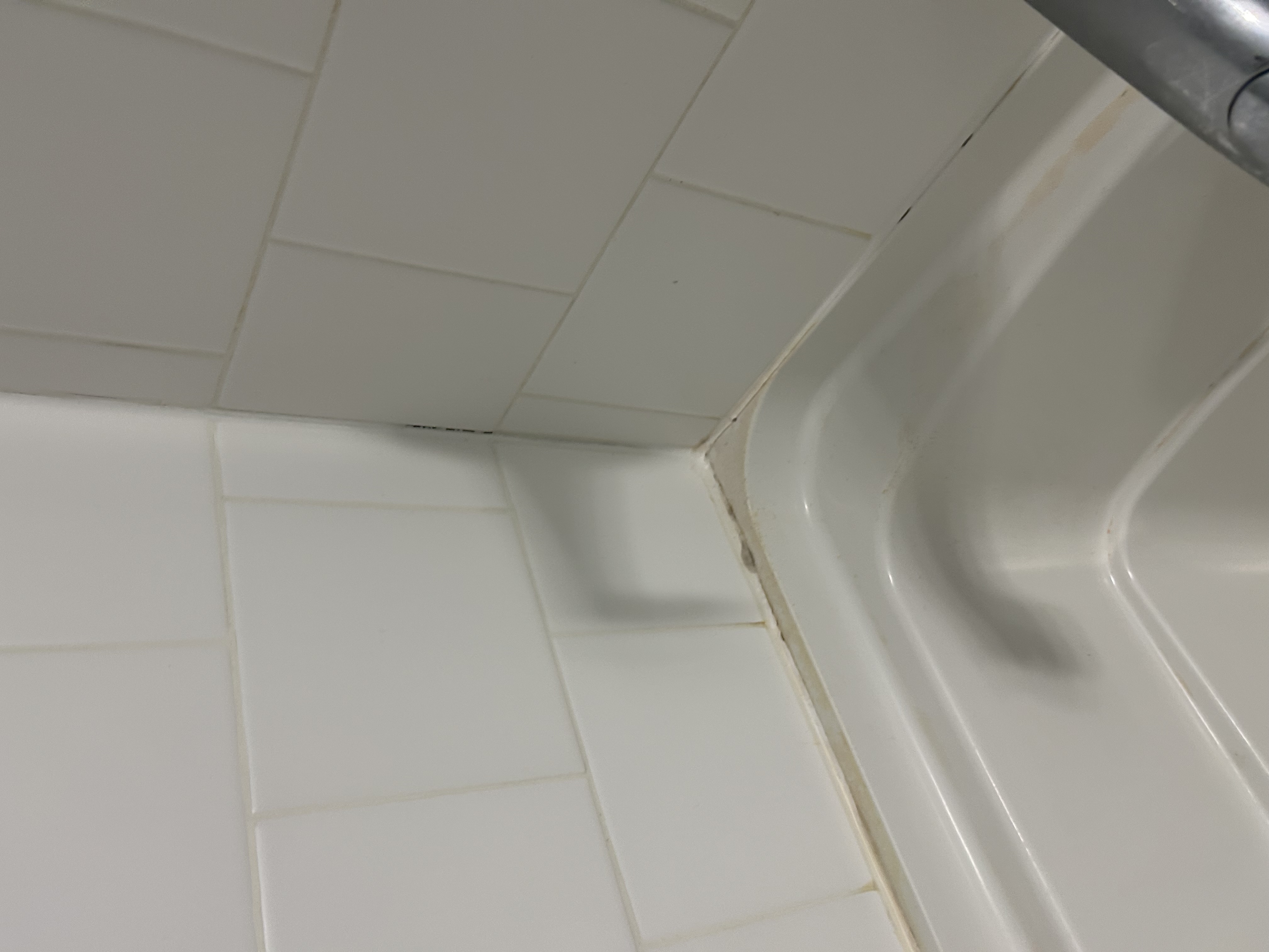 Charlotte G.'s post 2