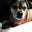 ~CHERYLE ~'s profile image