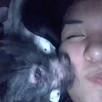 Dalia Ojeda's profile image