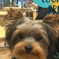 Cindy Martinez's profile image