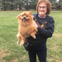 Shirley Clark's profile image