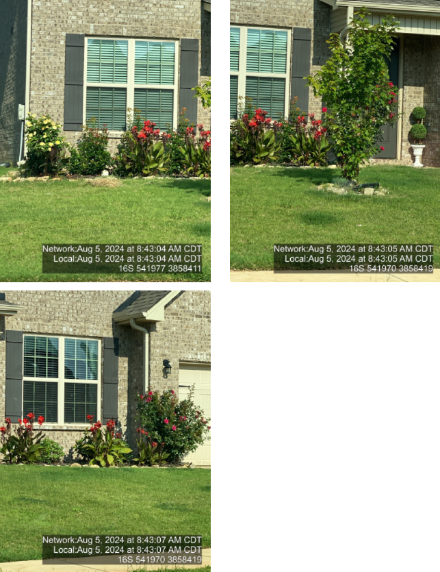 Veronica T.'s post 3