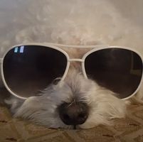 Teddy Francis's profile image