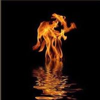 Tamer El Tohamy's profile image