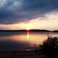 Cathy King's profile image