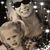 Judith Mixon Chipley's profile image