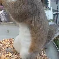 Ginny Reid's profile image