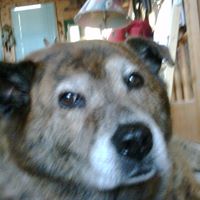Gerald Rounbehler's profile image