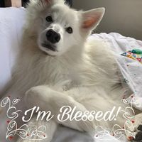 Tonya Saloom's profile image