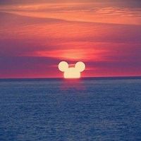 Maureen Vittore's profile image