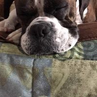 Jackie Cameron's profile image