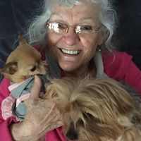 Sheril Haddon's profile image