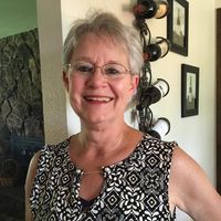 Sue Fine Halliday's profile image