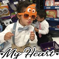 Tammy Von Horn's profile image