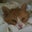 Michelle Tegethoff's profile image