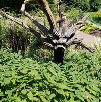 Elaine Forry's profile image