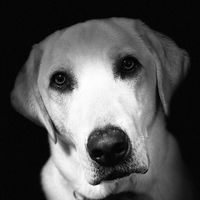 Sherry Nevius's profile image
