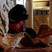 Denee Taylor Graham's profile image