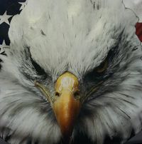 Betsy Howell Wesson's profile image