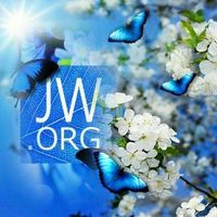 Marilyn Taylor's profile image