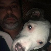 Wade Carraway's profile image
