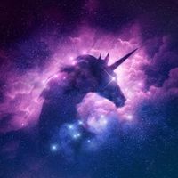 Stacey Kurazawa's profile image