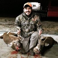 Taylor Shipman's profile image