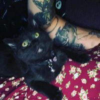 Shauna Salustri's profile image