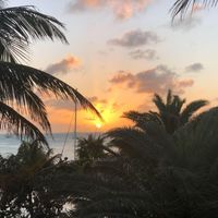 Jean Cozzolino's profile image