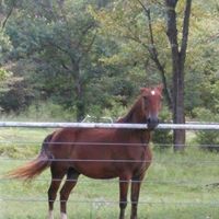 Marvin Buck's profile image