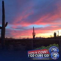 Kathleen Paul's profile image