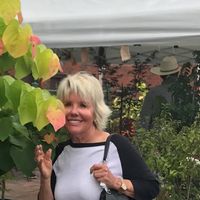 Erlene Saieg's profile image
