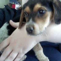 Lydia M. Michael's profile image
