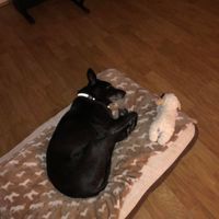 Eileen Morrell's profile image