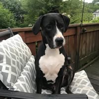 Sean Somers's profile image