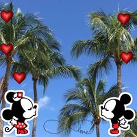 Nicole Gerbens's profile image
