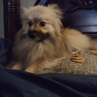 Nancy Johnson-Cooper's profile image