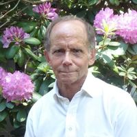 Daniel Camara's profile image
