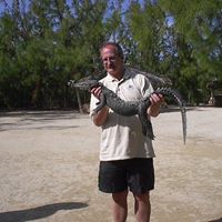 Neil Verhey's profile image