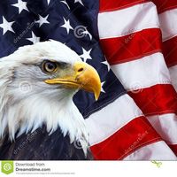 Marnie Coy Engle's profile image