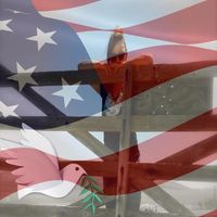 Phyllis Thompson's profile image